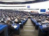 Европарламент: криминальные организации глубоко проникли в футбол
