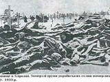 «Не было ни одного двора, где бы не лежали опухшие люди…» Голодомор 1932-1933 годов по возпоминаниям очевидцев