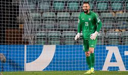 Гвардейцы сборной Украины: юбилей Миколенко и шаги вверх Забарного и Малиновского