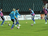 ФОТОрепортаж: тренировка сборной Украины в Люксембурге (16 фото)