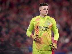 Курйозний гол Трубіна за «Бенфіку»