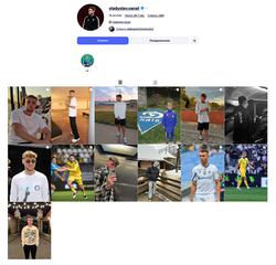 Владислав Ванат видалив з Instagram усе, пов'язане з «Жиноною» 