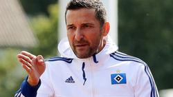 Главным тренером «Гамбурга» назначен Циннбауэр 
