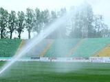 «Карпатам» отказали в выделении земли вокруг стадиона «Украина»