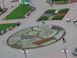 В Харькове высадили мяч из 16 000 цветов