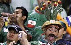 ФИФА подозревает мексиканских болельщиков в гомофобии