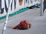 Дрезденское «Динамо» оштрафовано на 60 тысяч евро за брошенную фанатами голову быка 