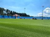 На базе «Динамо» постелили новый газон (ФОТО)