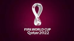 Источник: Катар дал взятку 8 игрокам сборной Эквадора, чтобы выиграть матч-открытие ЧМ-2022 
