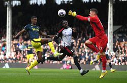 Fulham - Newcastle - 0:1. Englische Meisterschaft, 32. Runde. Spielbericht, Statistik