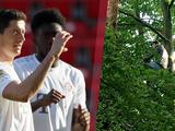 Два фаната смотрели матч «Унион» — «Бавария» с 12-метрового дерева. Полиция заставила их слезть (ФОТО)