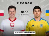 Польша — Украина: где смотреть, онлайн трансляция. Товарищеский матч