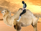 Кварцяный: «Ндойе в пустыне Гоби катается на верблюдах» 