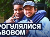 Динамовцы прогулялись по Львову в день матча с «Черниговом» (ВИДЕО)