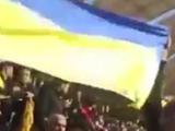ВИДЕО: Болельщики иранского клуба принесли флаг Украины на матч с российским «Зенитом»