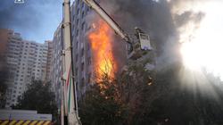 «Заря» — «Динамо» — 0:2. С заслуженной победой!