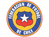 Бразилия отдала Чили право проведения Кубка Америки 2015 года
