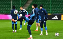 Керівництво УАФ серйозно розглядає можливість проведення наступного збору національної команди України вдома