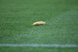На матче Бразилия — Тунис в Париже в сторону Ришарлисона бросили банан (ФОТО)