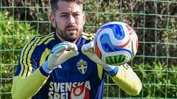 Ворота збірної Швеції в матчі з Україною захищатиме 36-річний голкіпер, який понад два роки не грав за збірну