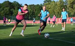 Ukraine's national team holds final training session in Poland