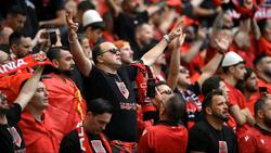 Албанские болельщики: «Украинцы должны попросить Реброва остаться»