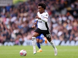 Fulham v Leicester 5-3. English Championship, round 35. Match review, statistics