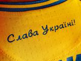 Российский депутат: «УЕФА обязан запретить вход украинским фанам на матчи Евро-2020»