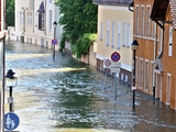 «Бавария» проведет матч в поддержку жертв наводнения
