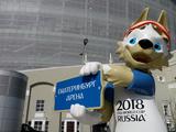 В России могут запретить жарить шашлыки во время проведения ЧМ-2018