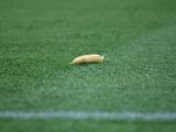 На матче Бразилия — Тунис в Париже в сторону Ришарлисона бросили банан (ФОТО)