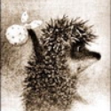 yozhik_v_tumane