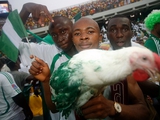 Фанатам сборной Нигерии не разрешили пронести живых кур на стадион чемпионата мира