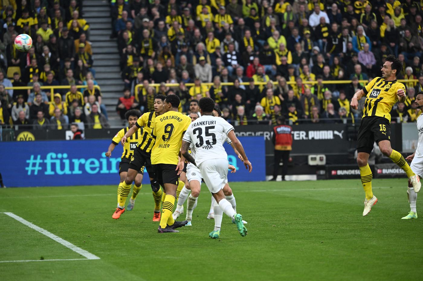 Borussia D - Eintracht - 4-0. Deutsche Meisterschaft, Runde 29. Spielbericht, Statistik.