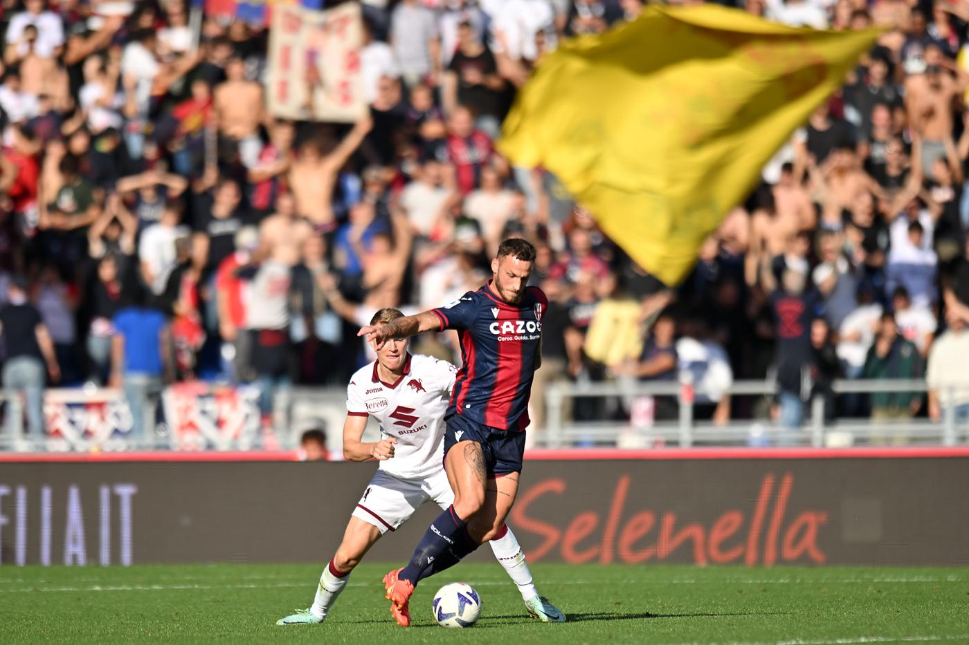 Торіно – Болонья – 1:0. Чемпіонат Італії, 25 тур. Огляд матчу, статистика