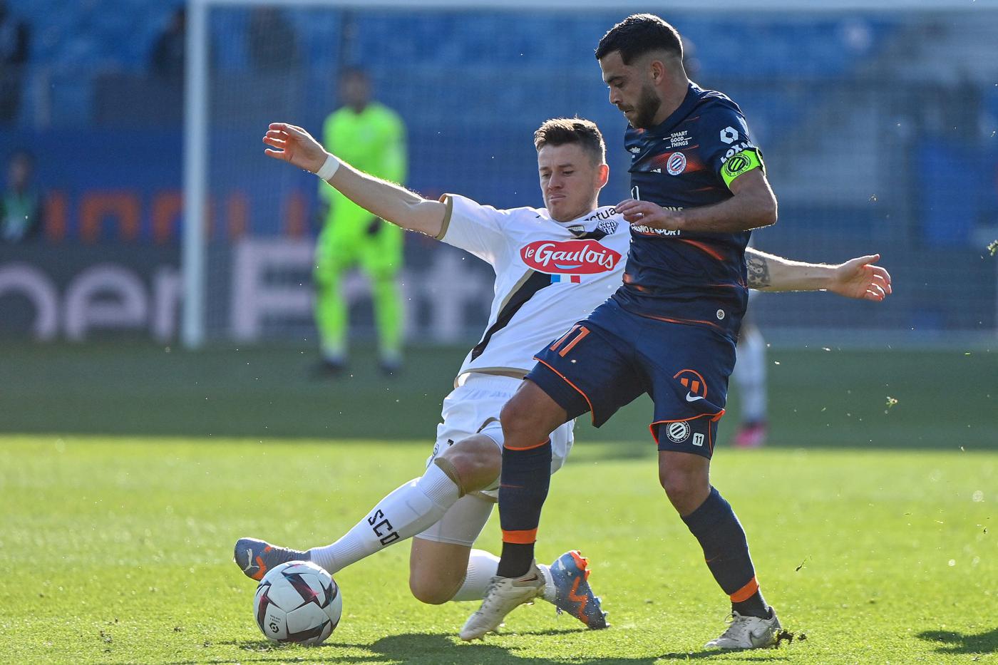Montpellier vs Angers - 5-0. French Championship, 26th round. Match review, statistics