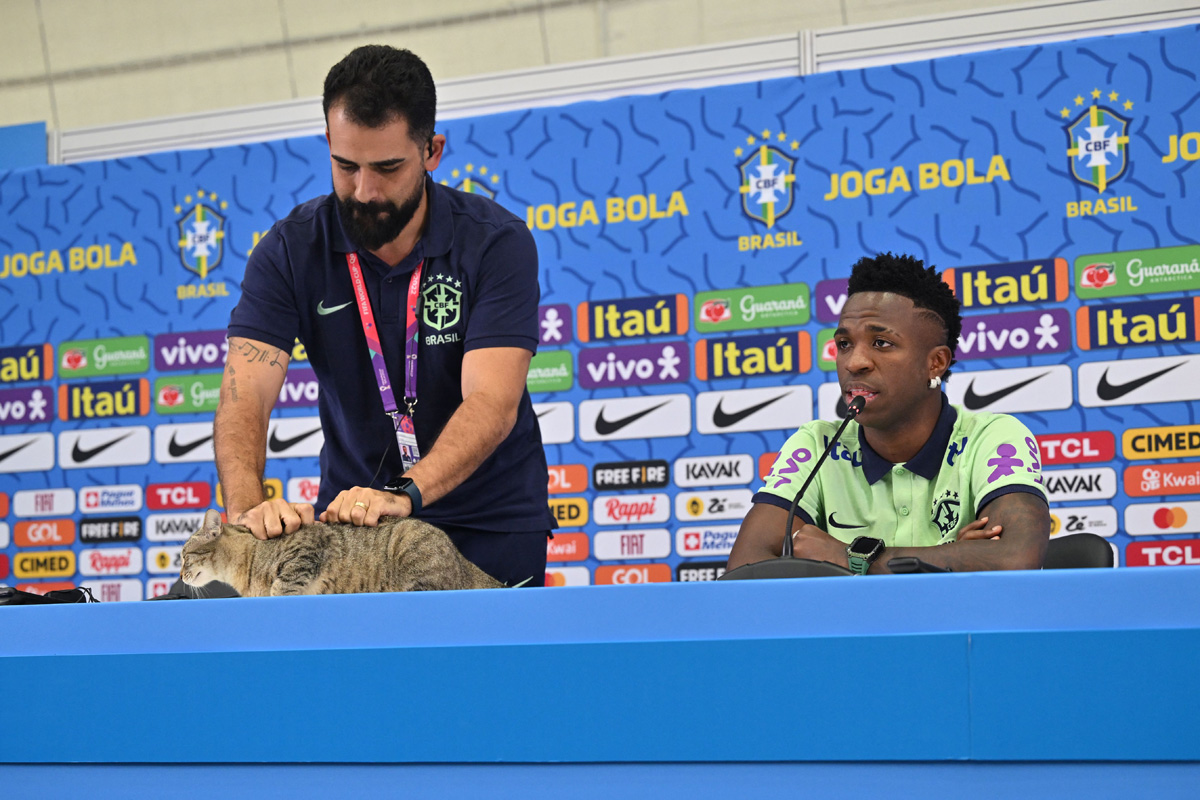 Brazil national team press officer throws cat out of prematch conference (PHOTO, VIDEO) (Dec. 8